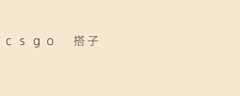 csgo 搭子
